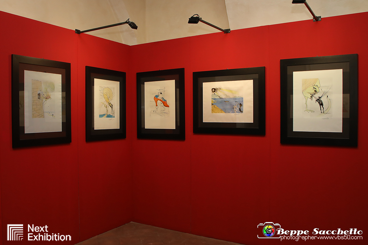 VBS_7784 - Salvador Dalì - The Exhibition.jpg